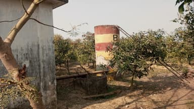 'If deep tube wells run, we get meal'