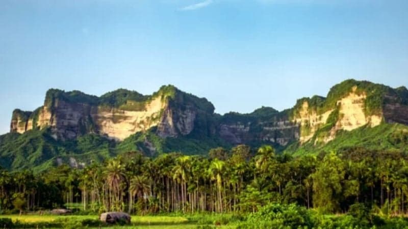 19 including 4 Forest Department workers abducted from Teknaf hill