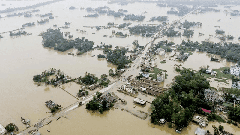 Government allocates Tk 4.60cr, 8,950 tonnes of rice for flood-hit people