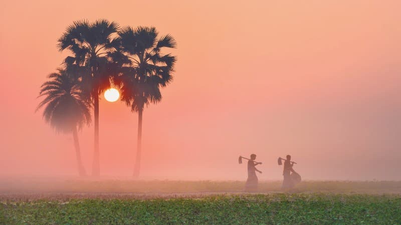 El Nino's influence: Winter bids farewell at the beginning of Magh