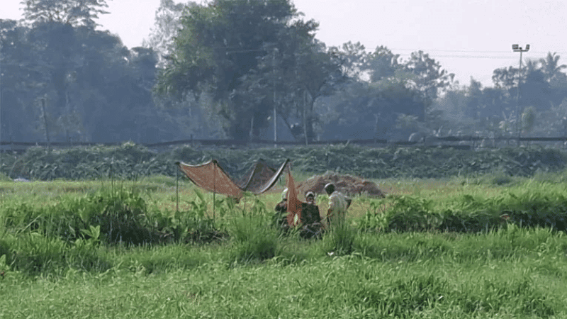 BGB foils BSF's push-in attempt, forces return of elderly man at Panchbibi border