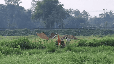 BGB foils BSF's push-in attempt, forces return of elderly man at Panchbibi border