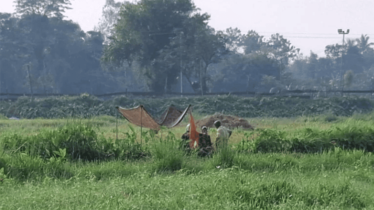 BGB foils BSF's push-in attempt, forces return of elderly man at Panchbibi border