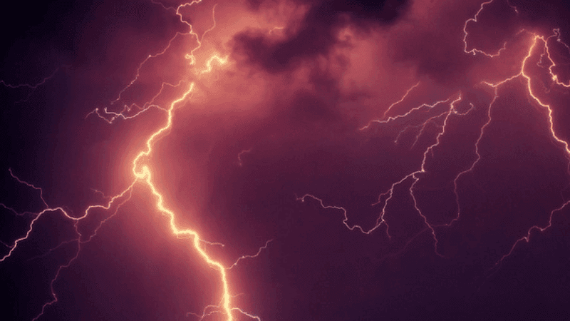 Six killed by lightning while fishing in Pabna wetland