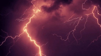 Six killed by lightning while fishing in Pabna wetland
