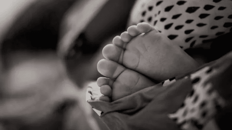 Bodies of twin newborns recovered in Tangail
