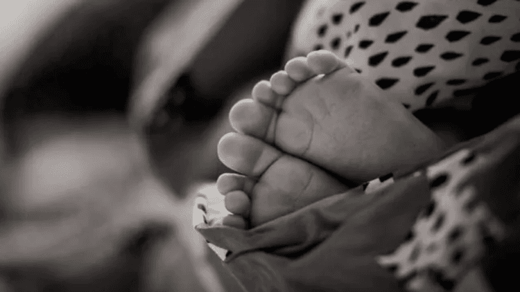 Bodies of twin newborns recovered in Tangail