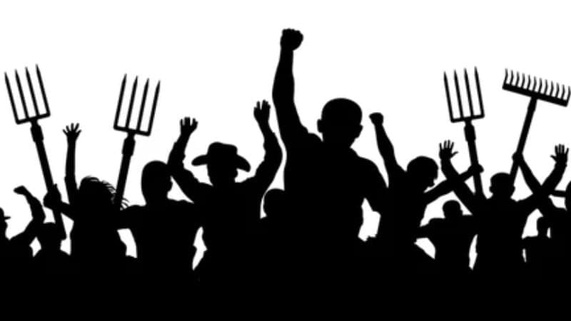 Eminent citizens call for govt intervention to eliminate mob violence