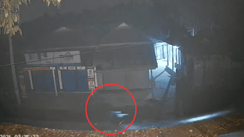 ‘Robot Dog’ goes viral, BGB says it’s a light-fitted bicycle