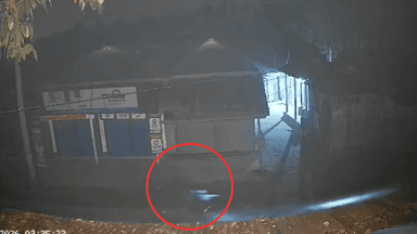 ‘Robot Dog’ goes viral, BGB says it’s a light-fitted bicycle