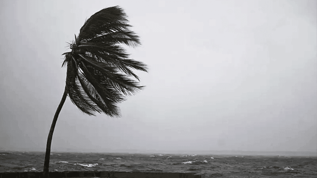 Storms with winds up to 60 km/h likely in five districts, temp may ease