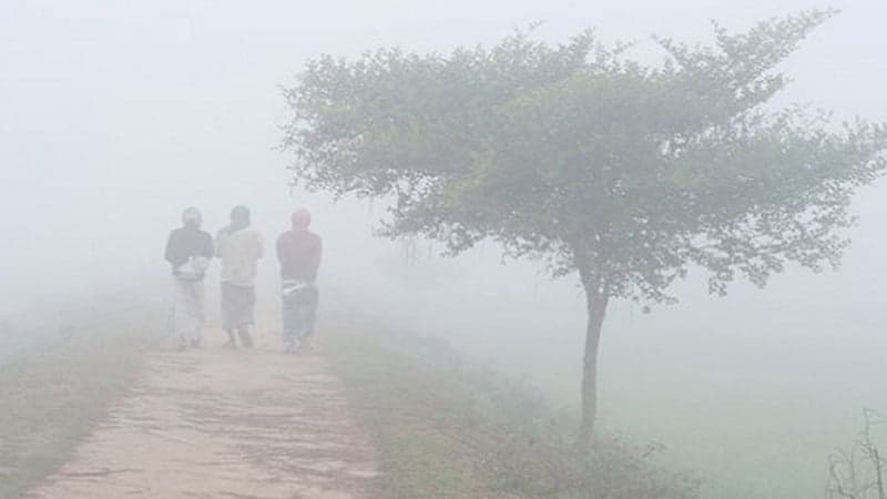 Cold weather grips Kurigram as temperature drops to 16 degrees Celsius