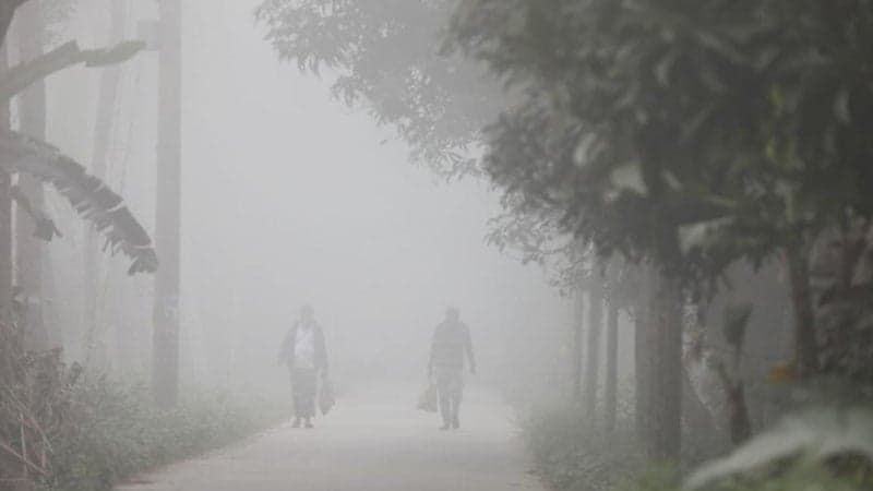 Tetulia records lowest temperature at 8.4°C