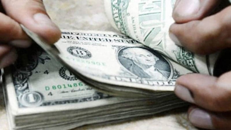 Gross forex reserves cross $31.1bn