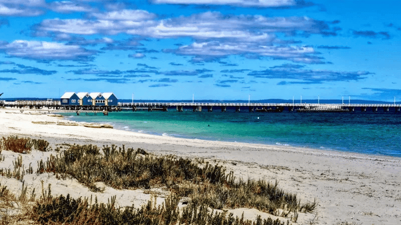 Teen swims for four hours to save mother, siblings