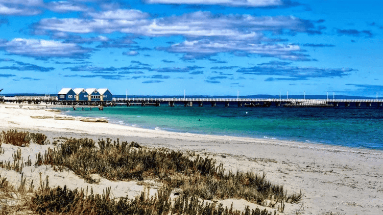 Teen swims for four hours to save mother, siblings